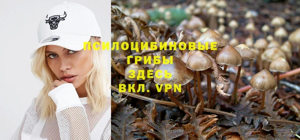 a pvp Алзамай