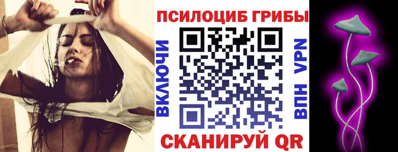 Галлюциногенные грибы Psilocybine cubensis  Комсомольск 